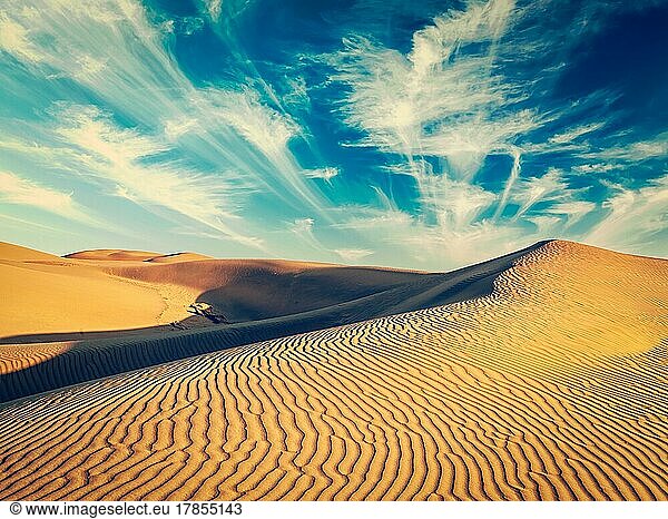Vintage Retro-Effekt gefiltert Hipster-Stil Bild von Sam Sanddünen in der Wüste Thar. Rajasthan  Indien  Asien