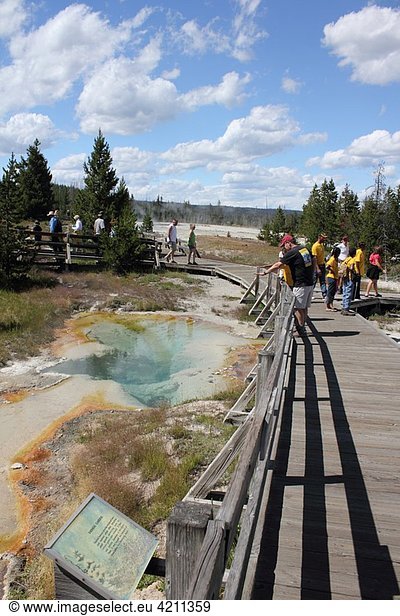 Visitors at West Thumb geothermal area  Yellowstone National Park  Wyoming  USA