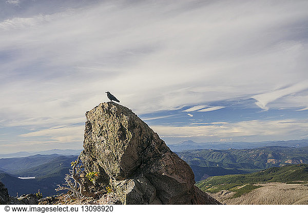 Vogel sitzt auf Fels gegen bewölkten Himmel