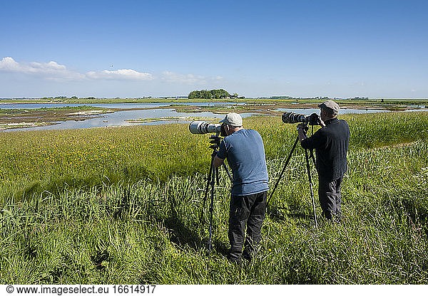 Vogelfotografen in actie bij waterplas met vogels; Bird Photographers in action at lake with birds