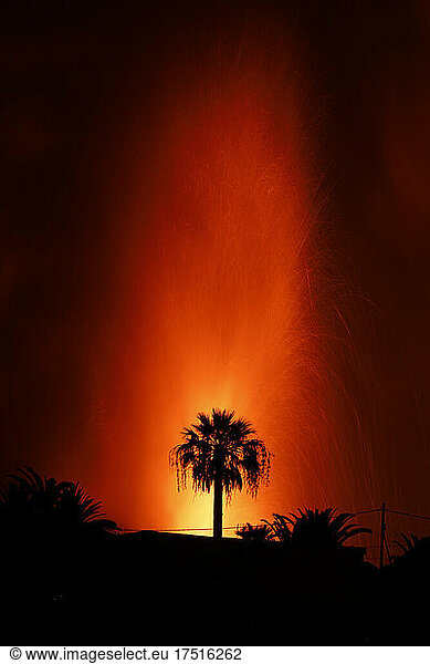 volcanic eruption behind a palm tree