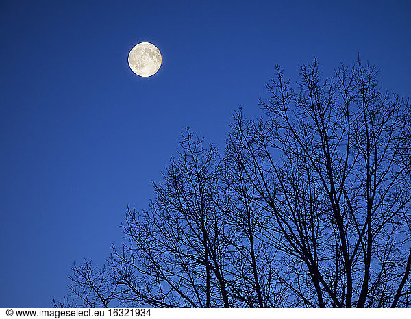 Vollmond zur Blauen Stunde
