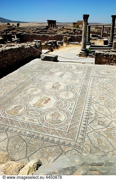 Volubilis (Morocco): mosaic in the archaeological site