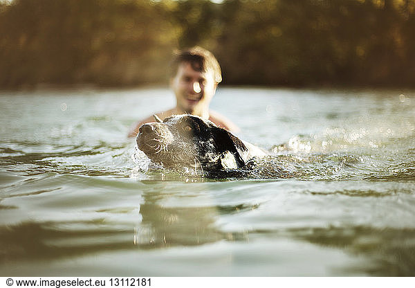 Vom Menschen im Fluss schwimmender Hund