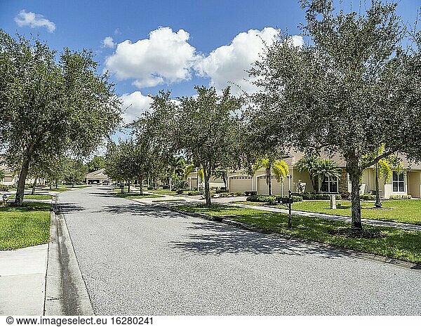 Von Bäumen gesäumte ruhige Wohnstraße in Florida in den Vereinigten Staaten.