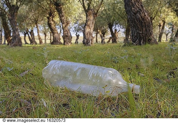 Von Touristen weggeworfene Plastikflaschen verschmutzen die Parks. Problem der Umweltverschmutzung durch Plastikmüll. Kartal Eco Park  Dorf Orlovka  Reni raion  Odessa oblast  Ukraine  Osteuropa.