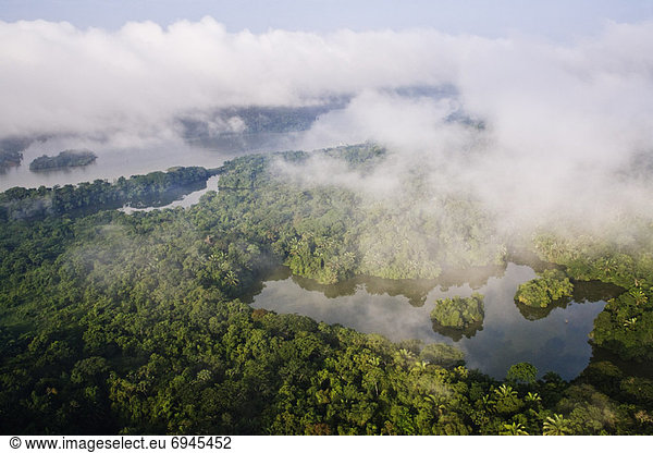 vorwärts  Panama  Regenwald