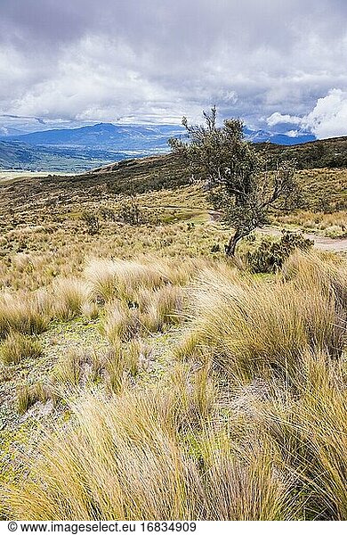 Vulkan Illiniza Norte (einer der beiden Illinizas)  Provinz Pichincha  Ecuador