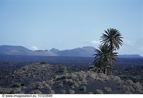 Vulkanlandschaft bei Uga  Lanzarote  Kanarische Inseln  Spanien  Europa