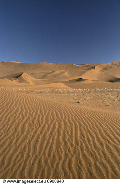 Wüste  Namibia