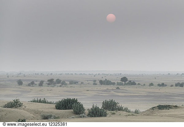 Wüste Thar  die große indische Wüste; Damodara  Rajasthan  Indien