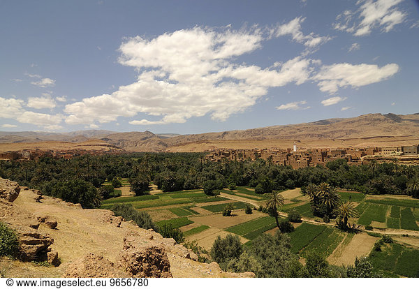 Wüstendorf am Rande der Wüste mit Oase im Vordergrund  Marokko  Afrika