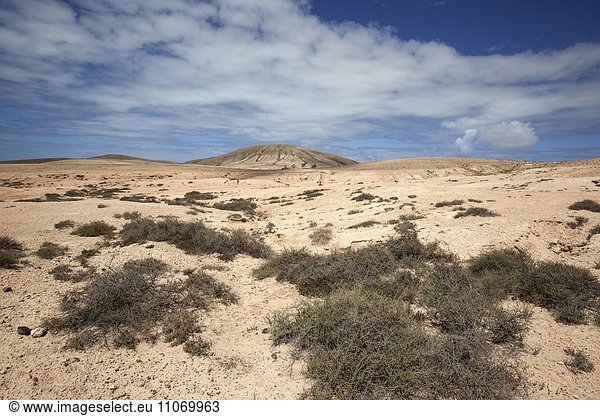 Wüstenhafte karge Landschaft mit Wolken bei La Oliva Fuerteventura Kanarische Inseln Spanien Europa
