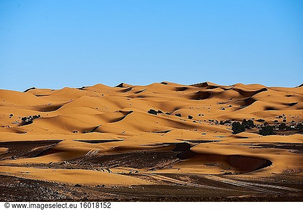 Wüstenlandschaft Mergouza in Südmarokko mit Dünen und klarem Himmel