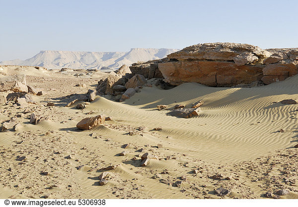Wüstenlandschaft  Oase Dakhla  Libysche Wüste  Sahara  Ägypten  Afrika