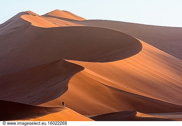 Wüstenlandschaften. Namib-Sandmeer. Sossusvlei. Namib-Naukluft-Nationalpark. Bei Sesriem. Namibia.