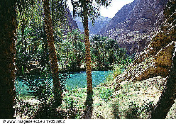 Wadi Shab oasis