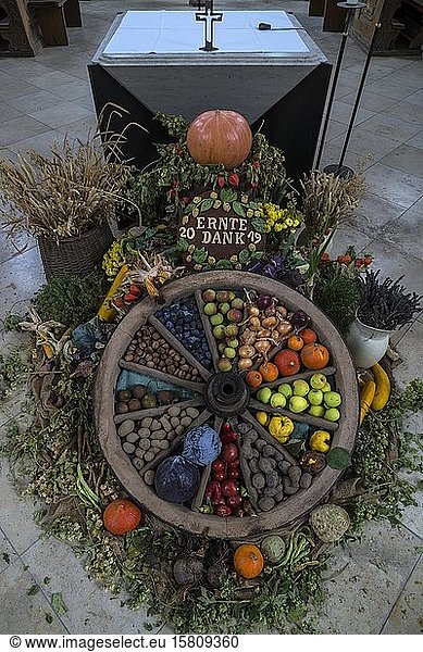 Wagon wheel decorated with vegetables for Thanksgiving  Spalt  Middle Franconia  Bavaria  Germany  Europe
