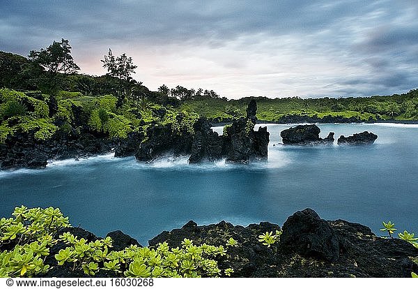 Wai'anapanapa State Park. Ein grüner Ort mit Meereshöhlen und vulkanischen Klippen. Hana Highway. Maui. Hawaii. Ein großartiger Zwischenstopp auf der Road to Hana. Schöne Aussichten  schwarze Sandstrände  Wandermöglichkeiten und ausreichend Parkplätze. Die Abzweigung kann leicht übersehen werden  daher sollten Sie sich ausreichend Zeit nehmen  um langsamer zu fahren und auf die Beschilderung zu achten. Dies ist ein viel besuchter Haltepunkt  an dem alle Reiseveranstalter und Touristen anhalten  damit Sie wissen  dass Sie ihn nicht verpassen dürfen. Wenn Sie zum schwarzen Sandstrand hinunterwandern  sind Wassersocken oder Tennisschuhe hilfreich  aber wir haben es auch mit Flipflops geschafft. Das Wasser bricht sich am Ufer  seien Sie also vorsichtig und treffen Sie besondere Vorkehrungen. Vergessen Sie Ihre Kamera nicht. Einfach herrlich! Wenn Sie auf der Road to Hana unterwegs sind  ist dies definitiv ein MUSS. Hier gibt es herrliche Ausblicke auf die vulkanische Küste  Blowholes (manchmal)  Höhlen  Wanderwege  Wälder  Wildtiere und sogar einen schwarzen Sandstrand zu entdecken. Da wir diesen Park auf dem Rückweg von Hana besuchten  war er ziemlich voll  aber der Park ist so groß  dass er im Gegensatz zu einigen anderen Stationen auf der Tour nicht überfüllt war. Es gab einige Einheimische  die zu den Felsen in der Mitte der Bucht schwammen und von den Klippen sprangen - absolut verrückt  wenn man bedenkt  wie hoch der Stapel war!