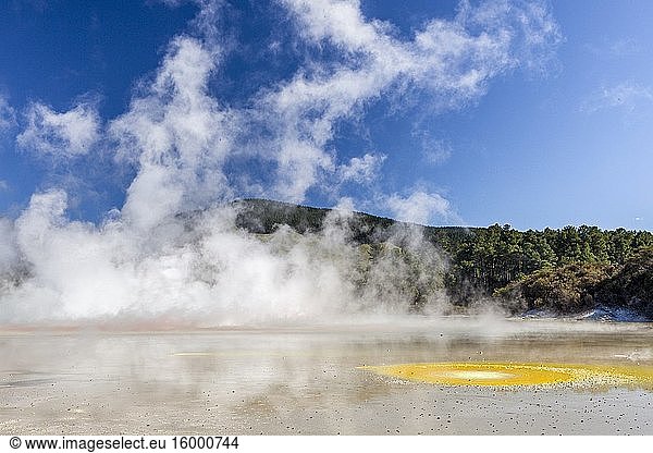 Wai-o-tapu Thermal Wonderland  Waiotapu  North Island  New Zealand.