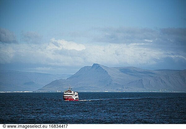 Walbeobachtungsboot  Reykjavik  Island