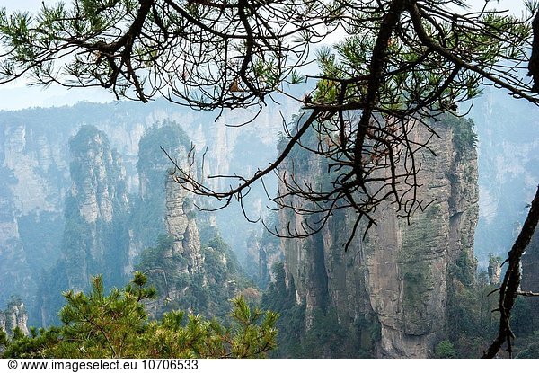Wald China Hunan