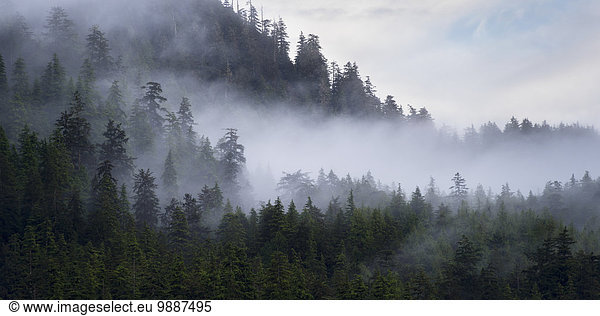 Wald Nebel Berglandschaft Siedlung British Columbia Kanada