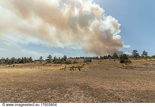 Waldbrand verwüstet Causse de sauveterre. Montuejols  Aveyron  Cevennen  Frankreich  Europa