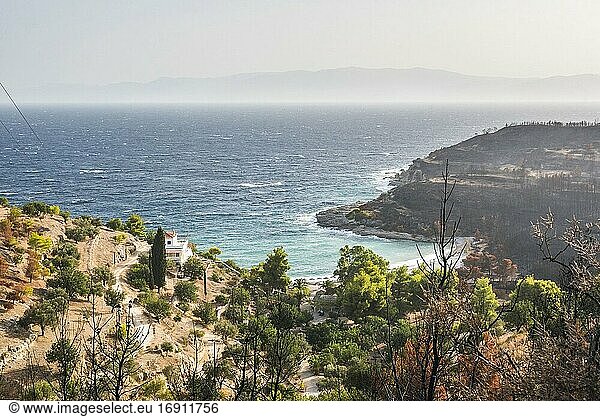 Waldbrandschäden  Spetses  Saronische Inseln  Region Attika  Ägäische Küste  Griechenland
