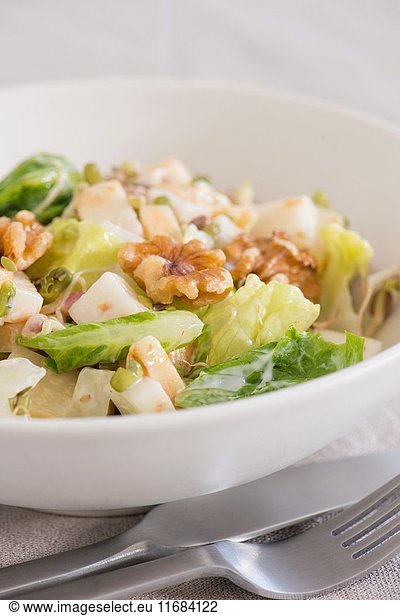 Waldorf salad served in a white bowl. Close up of traditional american food with vegetables  fruit and nuts.