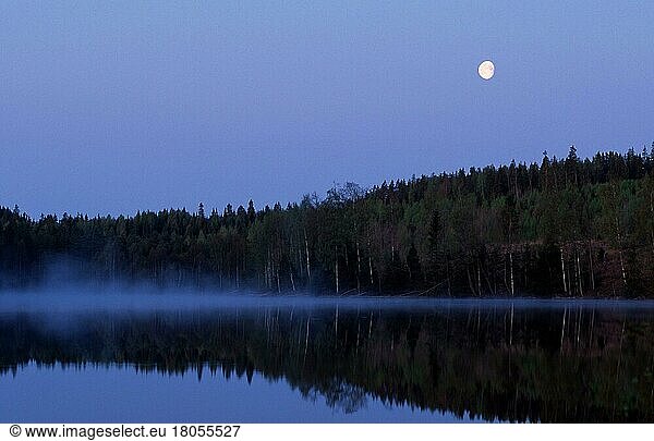 Waldsee und Mond in der Morgendämmerung Orebrolan  Örebrolaen (Dunst) (haze) (Europa) (Landschaften) (landscapes) (Querformat) (horizontal) (See) (Spiegelbild) (mirror image)  Schweden  Europa