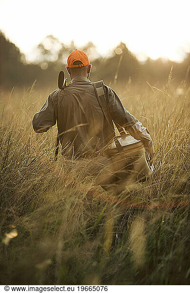 Walking bird hunter  Bear Creek Reserve  Georgia  USA