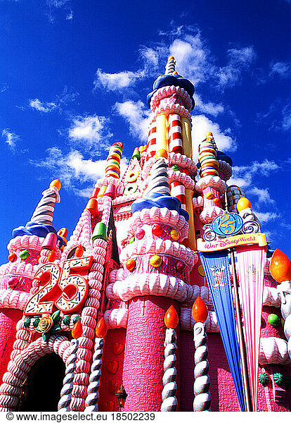 Walt Disney World Florida 25th Anniversary celebration Cinderella s Castle