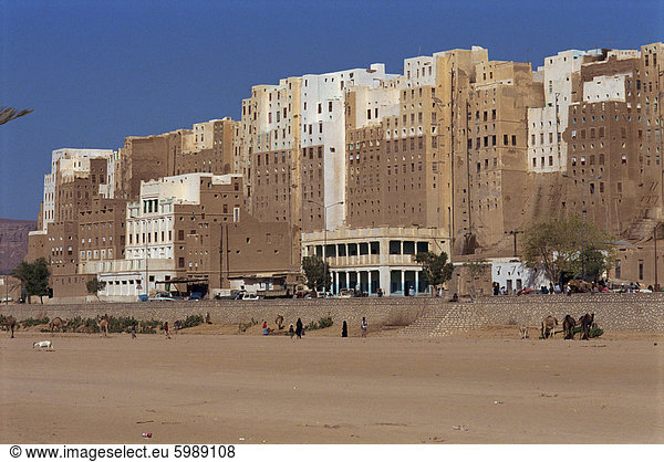 Wand, Gebäude, Großstadt, Ziegelstein, groß, großes, großer, große, großen, Menschlicher Rücken, Menschliche Rücken, Naher Osten, UNESCO-Welterbe, Schlamm, Shibam