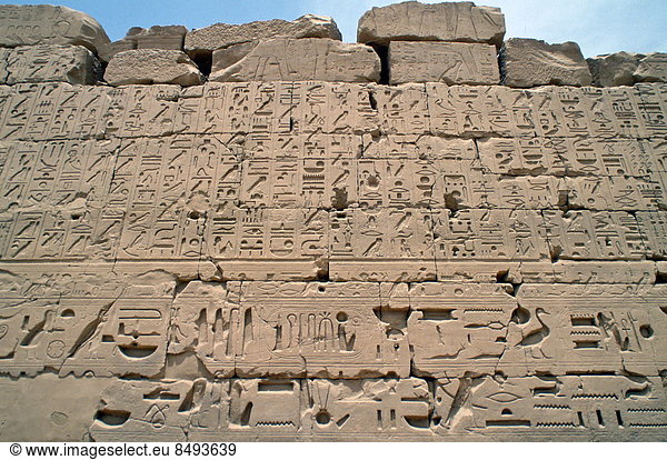 Wand  Halle  groß  großes  großer  große  großen  schnitzen  antik  Ägypten  Tempel von Karnak  Karnaktempel  Luxor