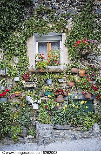 Wand mit bunten Blumen. Etuis. Katalonien. Spanien.