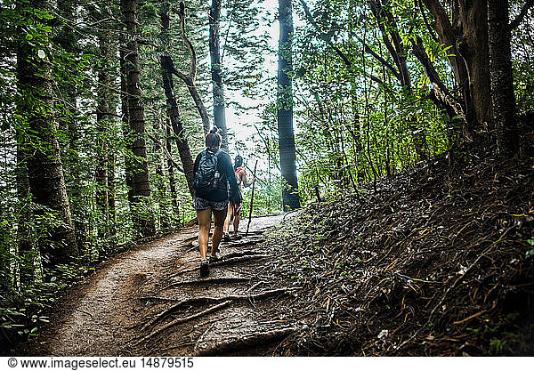 Wanderer auf dem Trail des schlafenden Riesen  Kauai  Hawaii