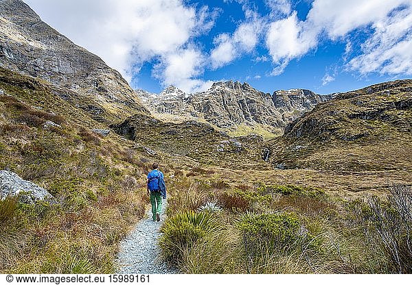 Wanderer auf dem Wanderweg Routeburn Track  Mount Aspiring National Park  Westland District  Westküste  Südinsel