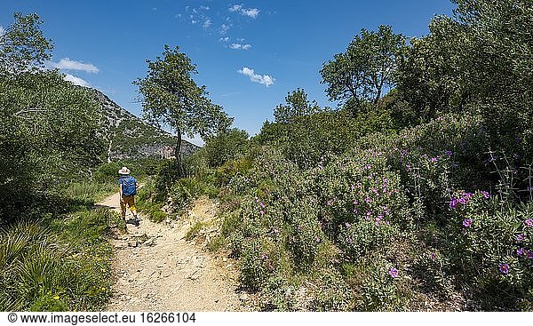 Wanderer auf einem Wanderweg  Grüne Schlucht  Garganta Verde  Sierra de Cádiz  Provinz Cádiz  Spanien  Europa