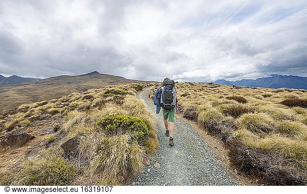 Wanderer auf Kepler Track  Fiordland Nationalpark  Southland  Südinsel  Neuseeland  Ozeanien