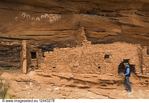 Wanderer beim Betrachten von umgekehrten Handabdrücken  Ancestral Pueblo  bis zu 1.000 Jahre alt  Bears Ears National Monument  Utah  Vereinigte Staaten von Amerika