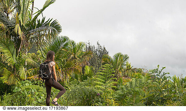 Wanderer im Regenwald von El Yunque  Puerto Rico