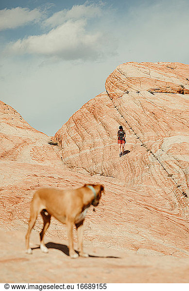 Wanderer in roten Shorts geht mit Hund die versteinerten roten Felsdünen hinunter