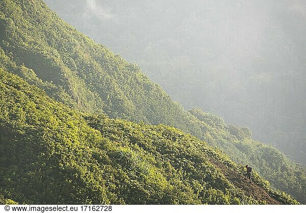 Wanderer klettert bei Sonnenaufgang auf den Gipfel des Vulkans Sibayak  Berastagi (Brastagi)  Nordsumatra  Indonesien