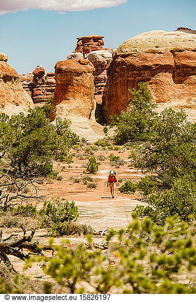 Wanderin geht unter Sandsteintürmen und Gestrüpp im Labyrinth Utah