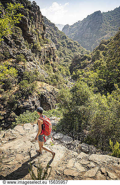 Wanderin während der Wanderung  Gorges de Spelunca  Ota  Corse-du-Sud  Korsika  Frankreich