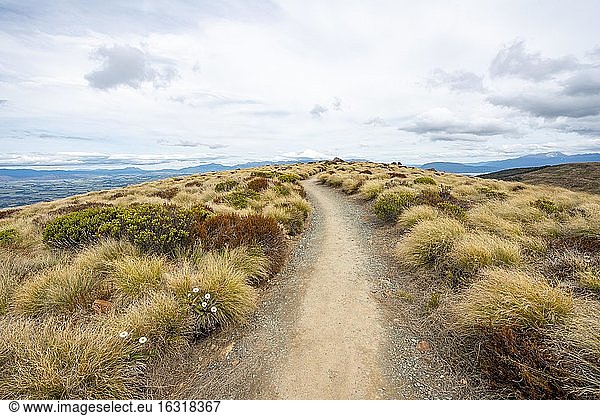 Wanderweg durch Graslandschaft  Kepler Track  Fiordland Nationalpark  Southland  Südinsel  Neuseeland  Ozeanien