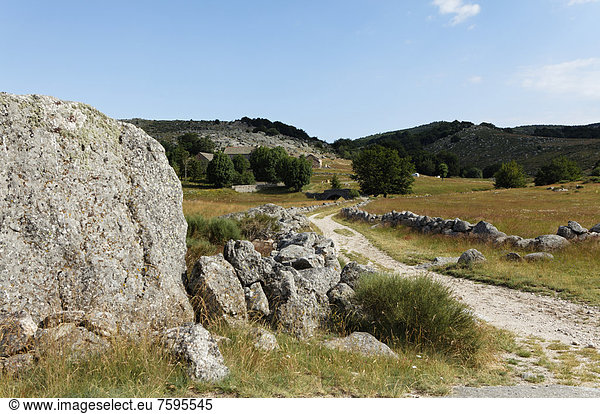 Wanderweg GR7 in Dorf L'Aubaret  Causses und Cevennen  UNESCO-Weltkulturerbe  Nationalpark Cevennen  Parc National des Cevennen  UNESCO-Biosphärenreservat  Mont LozËre  Pont de Montvert  LozËre  Languedoc-Roussillon  Frankreich  Europa