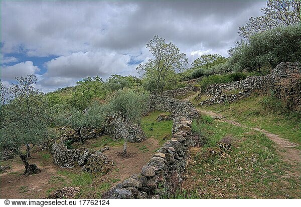 Wanderweg in der Sierra de Montanchez  Extremadura