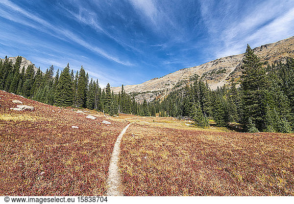Wanderweg in der Wildnis der Indian Peaks